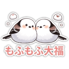 kimimi_20260410080243