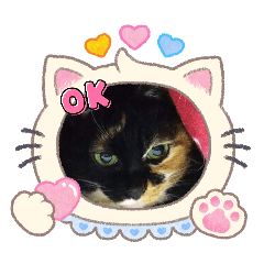 miyuuchanchi_20260414025113