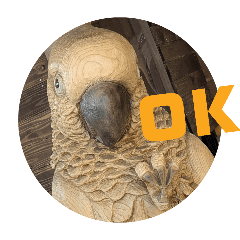 100Please_20260410085318