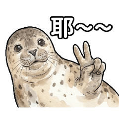 海豹突擊小萌灰