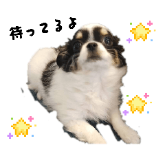 SORAO_20260414084454