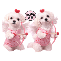 kanako_20260414121522