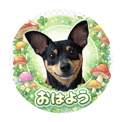 renthanneru_20260414120514