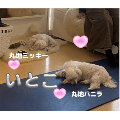 foifoi_20260410205452