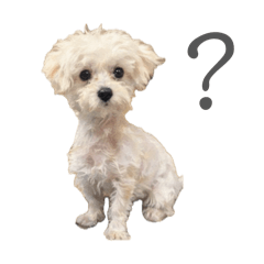 Chikuwa_20260414123018