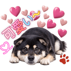 omochi_20260414122918