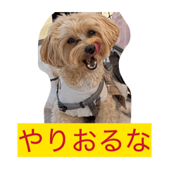 momo_20260414123517