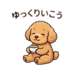 金毛贵宾犬（疲惫成年人的日常生活）