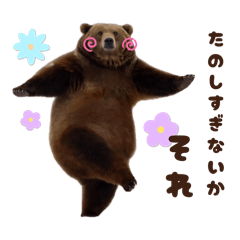 Chocotto_20260410024108