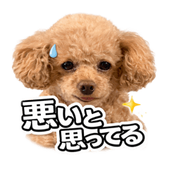 namake_20260414111326