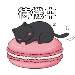 shippo_20260414145951