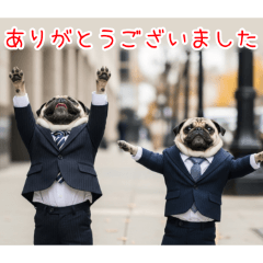 PAKAMOGOLY_20260414145935