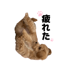 k_20260414150819