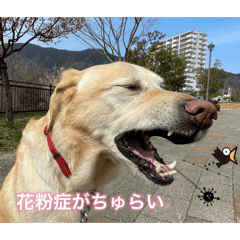 Tsister_20260414170253