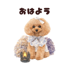 song june_20260414170619