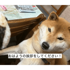 meririge8_20260414171133