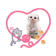 Finger_20260414222413