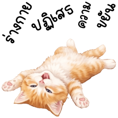 เหมียวส้ม แสนซน