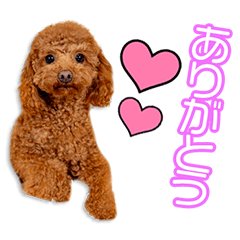 My beloved Latte Ito