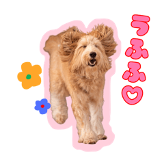 NITO design_20260414165521