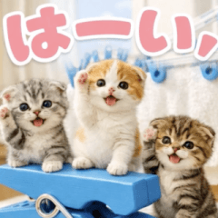 飛び出す♡ちいさなにゃんこ