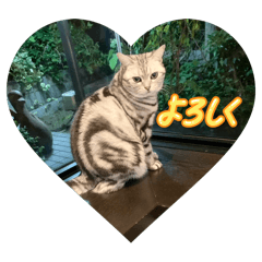 mimi Mainichi Happy Stamp