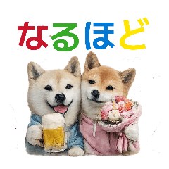 chacha_20260414181303