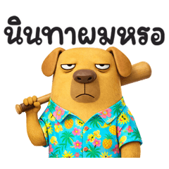 มะหมา มึนมึน