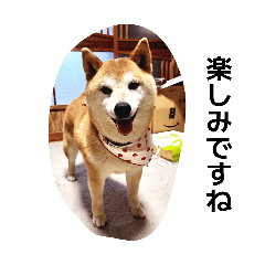 HAGE_20260414182351