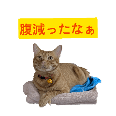 riku&joe_20260414160055