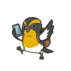 Exciting Long weekend Bird Trip Stickers