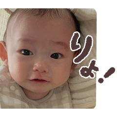 yukamaru_20260414130838