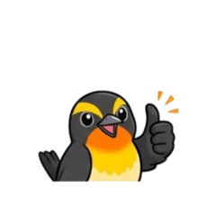 Fun Bird Summer & Daily Stickers