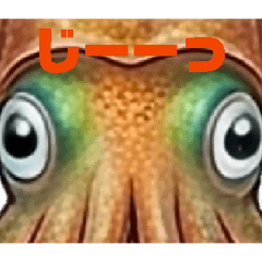 DUB PLANT_20260414131852