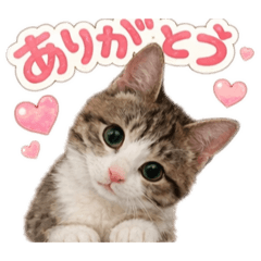 Keiko_20260414161126