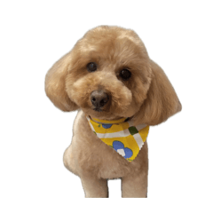 satomin_20260414162433