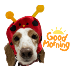 chiiiboo_20260414192921