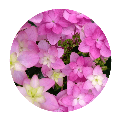 tokuyama_20260414193355