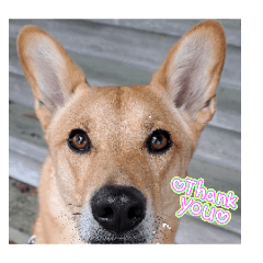 Midori_20260414194202