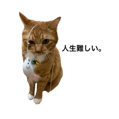 sakiki_20260414194258