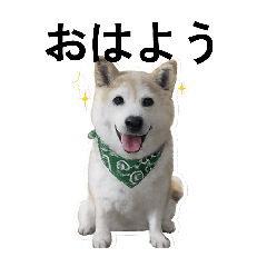 chacha_20260414204657