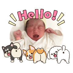 tommy_20260414211415