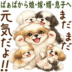 3D Shih tzu 2026 (From Grandma)