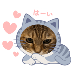 erimi_20260414163429