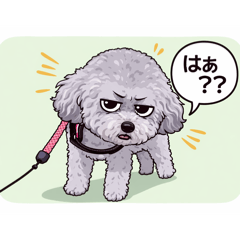 matoru_20260414163647