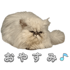 MaoRin_20260414163855