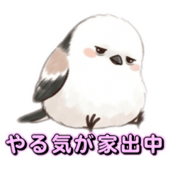 chocotto_20260414201254