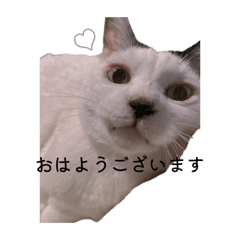 ふくとゆうかの日常