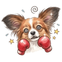 Papillon Days 7: Ball Sports  Events