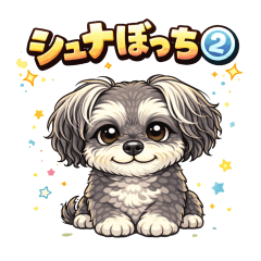 Schnauzer Solo Life 2